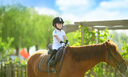 通用的占位符缩略图