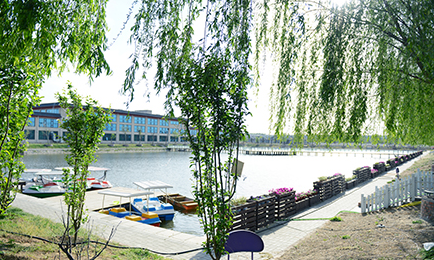 通用的占位符缩略图